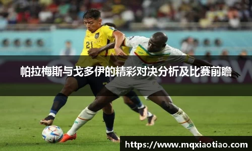 帕拉梅斯与戈多伊的精彩对决分析及比赛前瞻